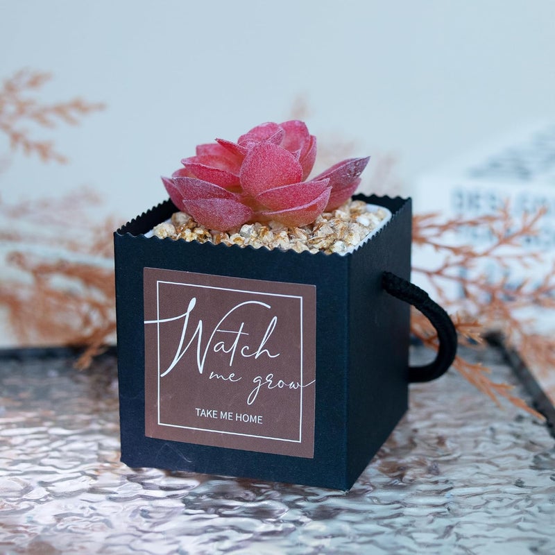 Temlum 2.5 Inch Succulent Wrap Bags (Fits 2.5″ Pots) with Thank You & Watch Me Grow Stickers, Small Gift Box for Wedding, Baby Shower, Succulent Party Favors for Guests (Black 40pcs) - Image 4